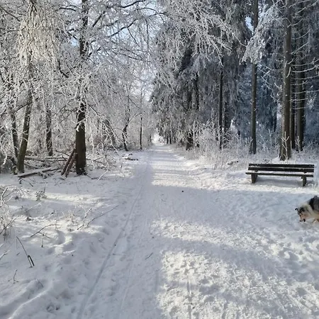 Lejlighed Schanzenblick