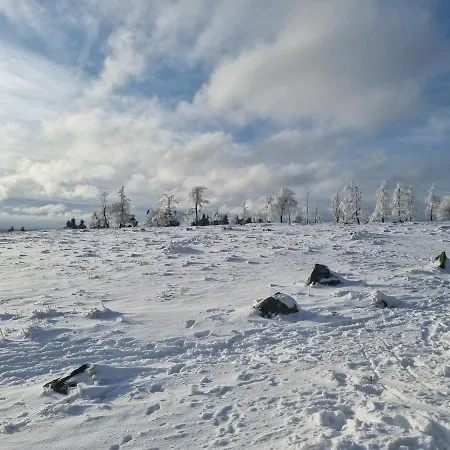 Schanzenblick Daire *