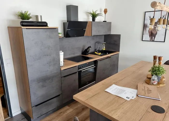 Schanzenblick * Βίντερμπεργκ