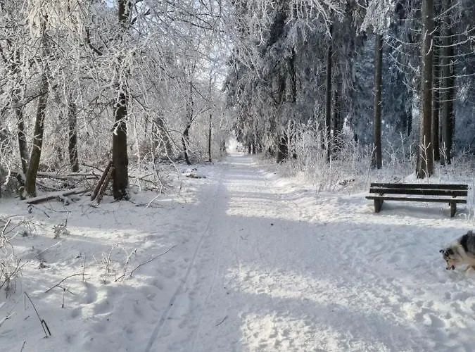 Διαμέρισμα Schanzenblick
