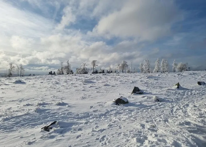 Schanzenblick Apartamento *